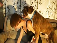 197 rusz russian bestiality 2018 zoo sex from moscow