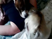 225 rusz russian bestiality 2018 zoo sex from moscow
