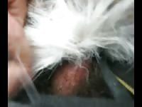 307 rusz russian bestiality 2018 zoo sex from moscow