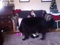 316 rusz russian bestiality 2018 zoo sex from moscow