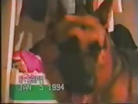 Canines teen and her dog 3of4 animals fucking humans petsex com
