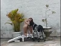 Dog fucks my ass3