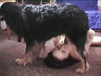 Hot dog 8