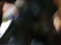 Hot girl fucked by dog
