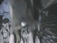 How can she take that huge cock