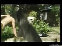 Huge dark beast impaled tight pussy