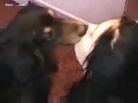 I love mey dog