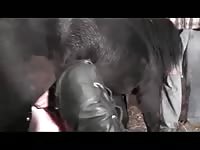 I was under my horse he buried yummy