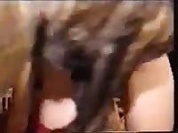 Intense dog fucking girl