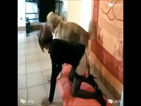 K9lady nyx take me hermes hd