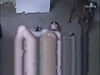 Slavegirl licked to orgasm by dogs celineclip