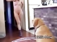 Small 5 flv