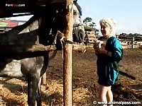 Stallioncum com video 06