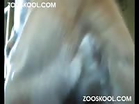 Zooskool lady a golden a part2