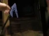 Sweet mare pussy Gaybeast - Bestiality Sex video with man