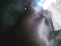 Teen plugs bitches ass Gaybeast.com - Dude and animal Sex