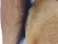 Thai and dog Gaybeast.com - Beastiality with Man