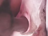 The bitch pink Gaybeast - Bestiality Sex video with man