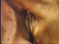 The fattest pussy Gaybeast - Man fucks animal