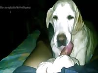 Third vid Gaybeast - Zoophilia Sex and Man