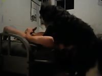 Throat fuck Gaybeast - Dude and animal Sex