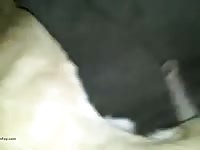 Tocando a mi cachorro primera parte Gaybeast - Man and animal Sex
