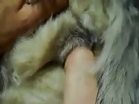 Toe play Gaybeast - Zoophilia Man