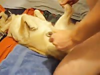 Toy Gaybeast - Beastiality with Man