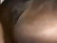 Trepando com a egua Gaybeast - Beastiality Man