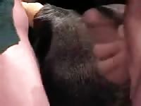 Two guys one mare Gaybeast - Beastiality with Dude