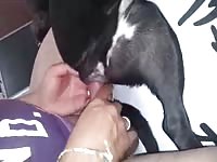 Two guys with female Gaybeast - Man fucks animal