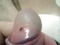 Uncut cock and ant Gaybeast - Man and animal Sex