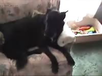 Wd being bad