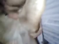 Wet bitch Gaybeast.com - Zoophilia Man