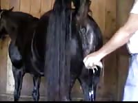 Wet dreams 2 Gaybeast.com - Man and animal Sex