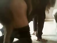 Wife and dog 1 Petsex.com - Animal Porn Man