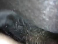 Winter love Gaybeast.com - Zoophilia Porn and Man