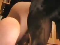 Wish i could get fucked like this Gaybeast - Bestiality Sex video with man