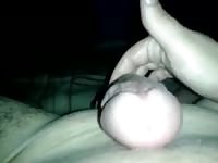 Worm 7 Gaybeast.com - Animal Porn Man