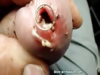 Worm inside cock Gaybeast - Dude and animal Porn