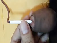 Wormplay my first time Gaybeast.com - Beastiality Man