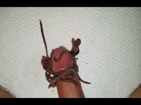 Worms on cock 1 Gaybeast.com - Zoophilia Sex and Man (2)
