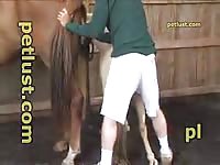 Young boy fuck mare