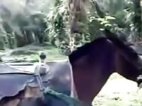 Young latino boy fucks a mare Gaybeast.com - Animal Sex Man