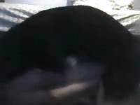 Young man and male dog Gaybeast.com - Zoophilia Man