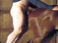 Young man fucks stallion ass Gaybeast.com - Animal Sex Man
