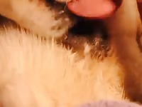 Young man play and pokes his girl Gaybeast.com - Dude and animal Porn
