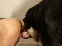 Me and kinkyboi Gaybeast.com - Zoophilia Porn and Man
