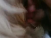 Me and my boy 3 Gaybeast.com - Bestiality Porn video with man