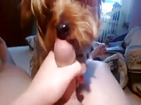 Me and my dog 12 Gaybeast - Zoophilia Sex and Man